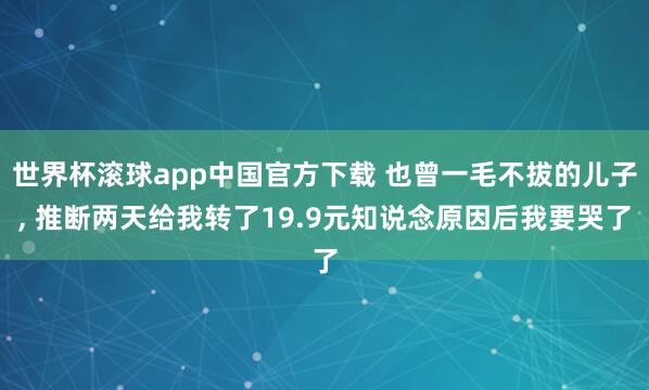 世界杯滚球app中国官方下载 也曾一毛不拔的儿子, 推断两天给我转了19.9元知说念原因后我要哭了