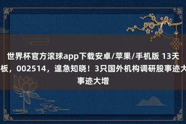 世界杯官方滚球app下载安卓/苹果/手机版 13天10板,002514,遑急知晓!3只国外机构调研股事迹大增