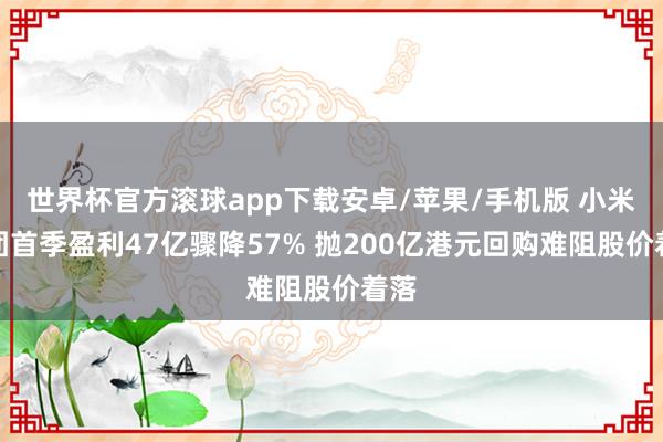 世界杯官方滚球app下载安卓/苹果/手机版 小米集团首季盈利47亿骤降57% 抛200亿港元回购难阻股价着落