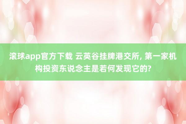 滚球app官方下载 云英谷挂牌港交所, 第一家机构投资东说念主是若何发现它的?