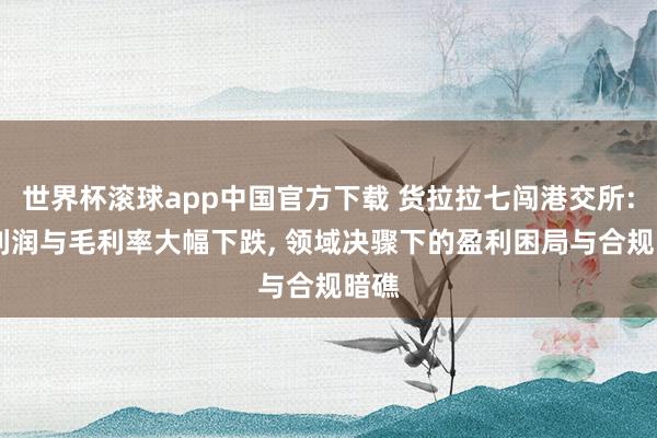 世界杯滚球app中国官方下载 货拉拉七闯港交所: 净利润与毛利率大幅下跌, 领域决骤下的盈利困局与合规暗礁