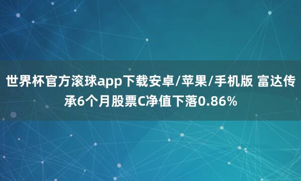 世界杯官方滚球app下载安卓/苹果/手机版 富达传承6个月股票C净值下落0.86%