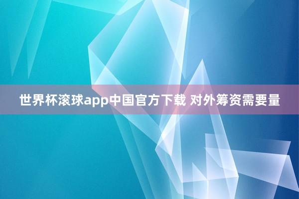 世界杯滚球app中国官方下载 对外筹资需要量