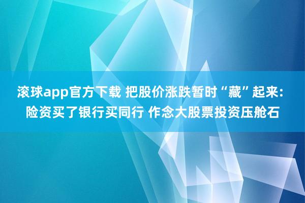 滚球app官方下载 把股价涨跌暂时“藏”起来: 险资买了银行买同行 作念大股票投资压舱石