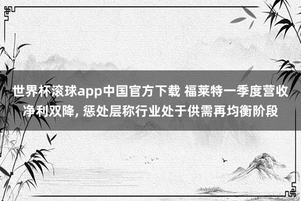 世界杯滚球app中国官方下载 福莱特一季度营收净利双降, 惩处层称行业处于供需再均衡阶段