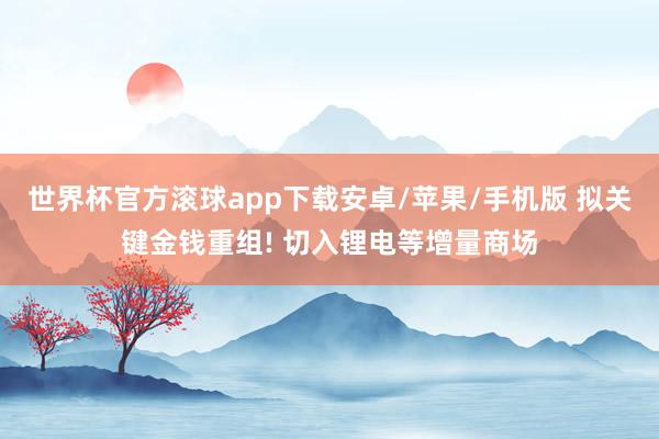 世界杯官方滚球app下载安卓/苹果/手机版 拟关键金钱重组! 切入锂电等增量商场