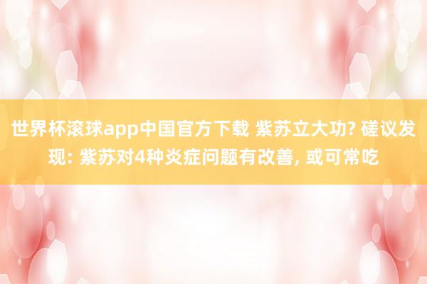 世界杯滚球app中国官方下载 紫苏立大功? 磋议发现: 紫苏对4种炎症问题有改善, 或可常吃