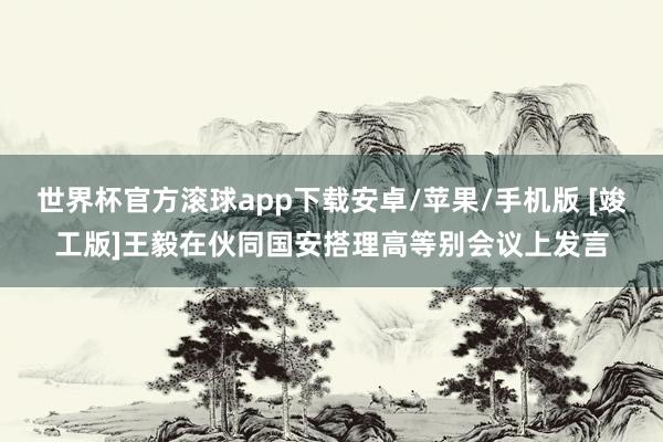 世界杯官方滚球app下载安卓/苹果/手机版 [竣工版]王毅在伙同国安搭理高等别会议上发言
