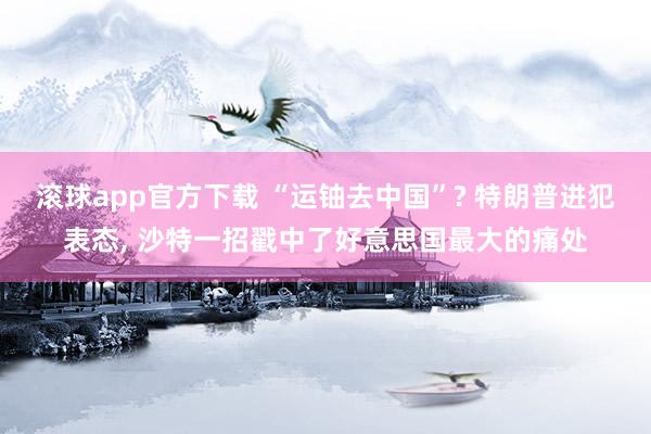 滚球app官方下载 “运铀去中国”? 特朗普进犯表态, 沙特一招戳中了好意思国最大的痛处