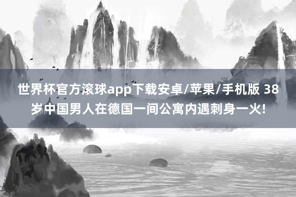 世界杯官方滚球app下载安卓/苹果/手机版 38岁中国男人在德国一间公寓内遇刺身一火!