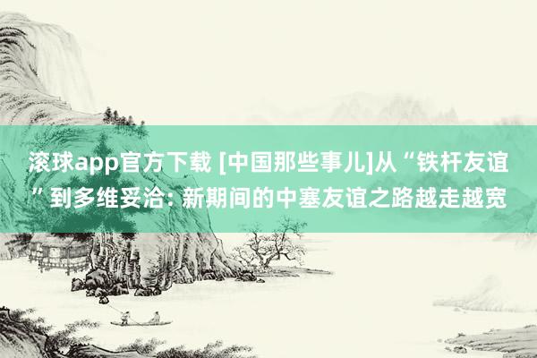 滚球app官方下载 [中国那些事儿]从“铁杆友谊”到多维妥洽: 新期间的中塞友谊之路越走越宽