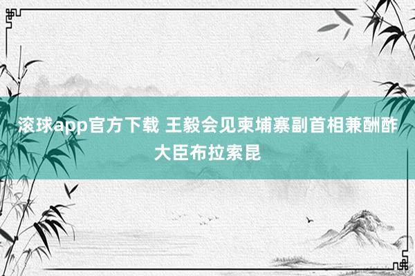 滚球app官方下载 王毅会见柬埔寨副首相兼酬酢大臣布拉索昆