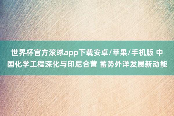世界杯官方滚球app下载安卓/苹果/手机版 中国化学工程深化与印尼合营 蓄势外洋发展新动能