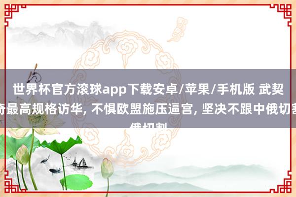 世界杯官方滚球app下载安卓/苹果/手机版 武契奇最高规格访华, 不惧欧盟施压逼宫, 坚决不跟中俄切割