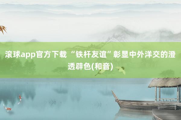 滚球app官方下载 “铁杆友谊”彰显中外洋交的澄透辟色(和音)