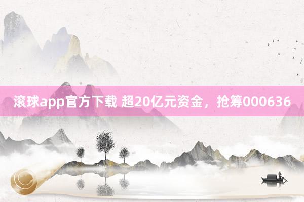 滚球app官方下载 超20亿元资金,抢筹000636