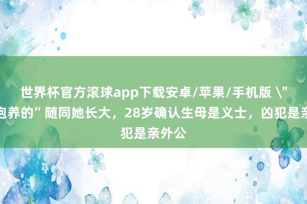 世界杯官方滚球app下载安卓/苹果/手机版