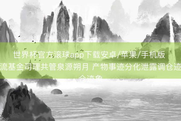 世界杯官方滚球app下载安卓/苹果/手机版 顶流基金司理共管泉源朔月 产物事迹分化泄露调仓迹象