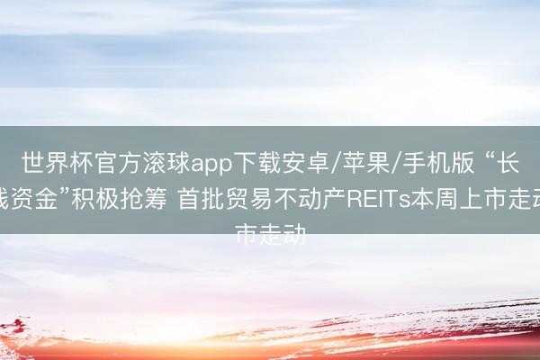 世界杯官方滚球app下载安卓/苹果/手机版 “长线资金”积极抢筹 首批贸易不动产REITs本周上市走动