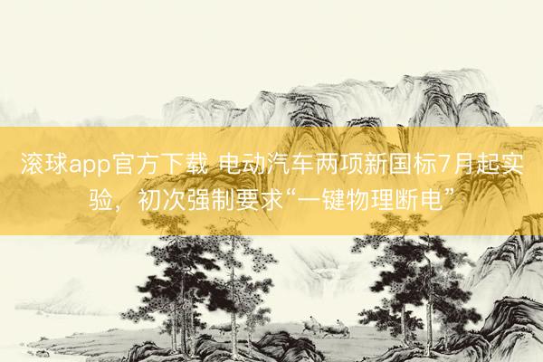滚球app官方下载 电动汽车两项新国标7月起实验,初次强制要求“一键物理断电”