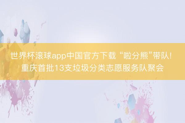 世界杯滚球app中国官方下载 “啦分熊”带队! 重庆首批13支垃圾分类志愿服务队聚会