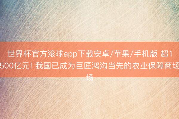 世界杯官方滚球app下载安卓/苹果/手机版 超1500亿元! 我国已成为巨匠鸿沟当先的农业保障商场
