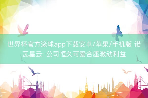 世界杯官方滚球app下载安卓/苹果/手机版 诺瓦星云: 公司恒久可爱合座激动利益